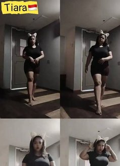 Incall Price From Rm250 1 Shot - escort in Kuala Lumpur Photo 7 of 30