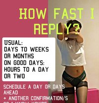 Semi retired, dont DM if you cant READ - escort in Dubai