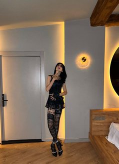 İnçe - Acompañantes transexual in İstanbul Photo 2 of 13