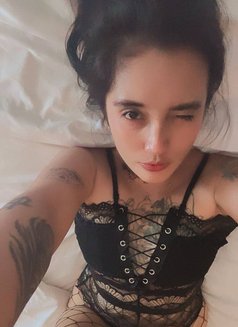 Indah Asian Slave, Fetish & Fantasy - escort in Misawa Photo 15 of 15