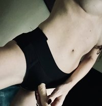 Nikole (cim, strapon, feet fetish) - escort in Dubai