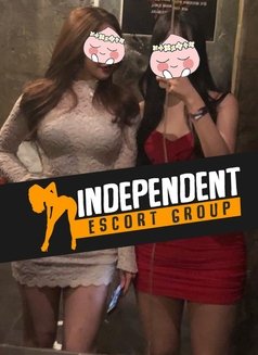 Independent Escort Group - escort in Seoul Photo 1 of 5