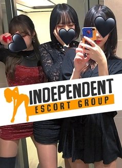 Independent Escort Group - escort in Seoul Photo 4 of 5