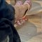 Independent Escort Nude Cam/real Meet - puta in Noida Photo 3 of 4