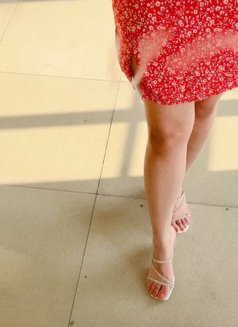 Independent Escort ! Real Meet/nude Cam - escort in New Delhi Photo 4 of 4