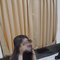 🦋꧁☞︎🥀Independent🥀Girl🥀☜꧂, - puta in Pune Photo 4 of 4