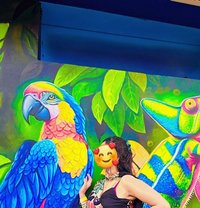 Independent Girl, No Broker, Meet & Cam - escort in Bangalore