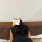 Independent Mixed Race African Pornstar - puta in New Delhi Photo 2 of 4
