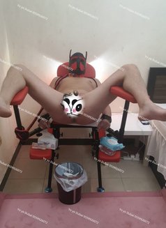 independentJapan yo yo - escort in Dubai Photo 20 of 21