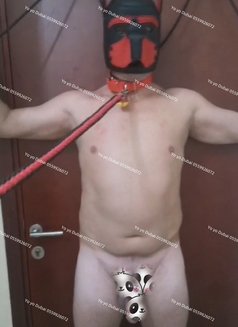 independentJapan yo yo - escort in Dubai Photo 21 of 21