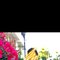 🟤IndependentLy, Pleasure Massage - Male escort in Mumbai Photo 2 of 7