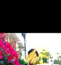 IndependentLy, Erotic Masseur - Male escort in Mumbai Photo 5 of 5