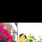 IndependentLy, Exotic Masseur - Male escort in Mumbai
