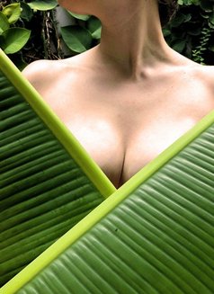 Indepenent Eclectic Tantra - escort in Seoul Photo 6 of 7