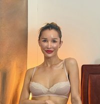 Indi in Khalifa city - Transsexual escort in Abu Dhabi Photo 1 of 30