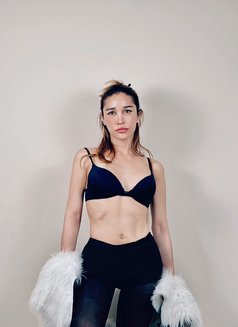 Indi ladyboy 🇹🇭 in Khalifa city - Transsexual escort in Abu Dhabi Photo 22 of 22