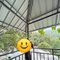 Hyderabad Anitha - escort in Hyderabad Photo 1 of 3