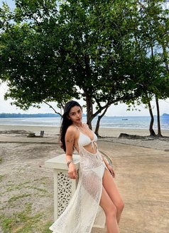 Indonesian Girl in Sg Outcall/incall - escort in Singapore Photo 1 of 5