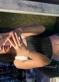 Ing - escort in Pattaya Photo 3 of 6