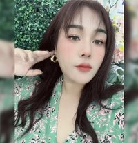 Ingfar Cute Ladyboy - Acompañantes transexual in Riyadh Photo 1 of 4