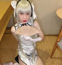 now in tw？ - Acompañantes transexual in Taipei