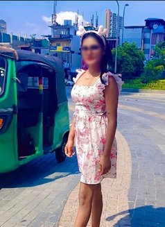 Irana Colombo in call and out call - escort in Colombo Photo 4 of 11
