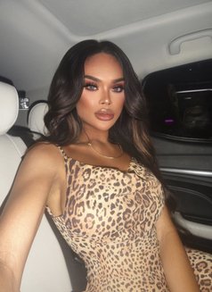 Irene Around Phuket - Transsexual escort in Phuket Photo 20 of 28