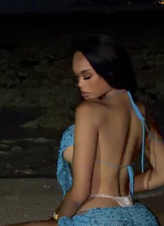 Irene Around Phuket - Transsexual escort in Phuket Photo 27 of 30