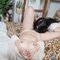 Irene & Deinie duo service - companion in Doha Photo 2 of 6