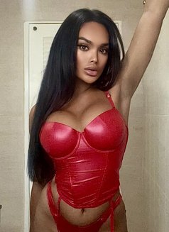 ARIN VVIP+ - Transsexual escort in Phuket Photo 5 of 9