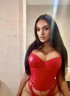 ARIN VVIP+ - Transsexual escort in Phuket Photo 6 of 9