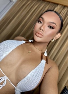 IRENE IRENE - Transsexual escort in Phuket Photo 15 of 18