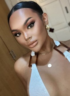 IRENE IRENE - Transsexual escort in Phuket Photo 17 of 18