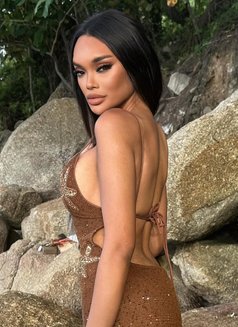 Irene Irene - Transsexual escort in Phuket Photo 14 of 14