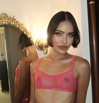 Versa Angel Energy - Transsexual escort in Singapore