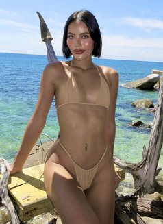 Irin From Thailand New - Acompañantes transexual in Phuket Photo 21 of 29