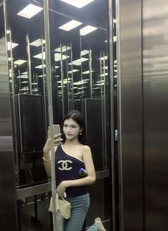 Irin - Transsexual escort in Bangkok Photo 1 of 6
