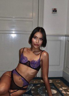 Irin - Acompañantes transexual in Phuket Photo 26 of 26