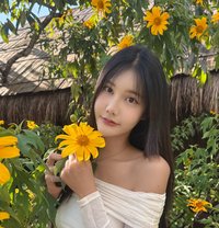 Irin - escort in Chiang Rai