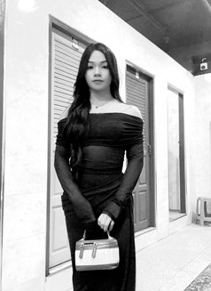 Irir Peerada - Acompañantes transexual in Phuket Photo 7 of 7