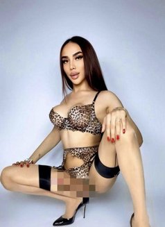 Irma first time in Bahrain! - Transsexual escort in Al Manama Photo 2 of 13