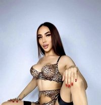 Irma first time in Bahrain! - Transsexual escort in Al Manama