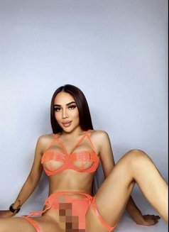 Irma first time in Bahrain! - Transsexual escort in Al Manama Photo 4 of 13