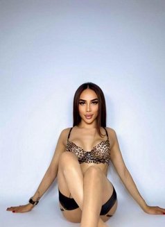 Irma first time in Bahrain! - Transsexual escort in Al Manama Photo 11 of 13