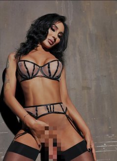 Irma with big bang - Transsexual escort in Khobar Photo 2 of 8