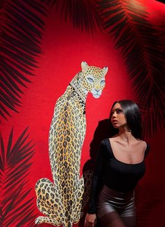 Isabel - puta in Bucharest Photo 11 of 12