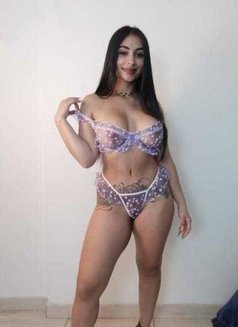 Isabella - puta in Dublin Photo 7 of 7