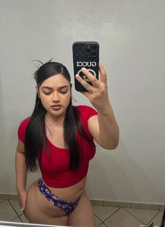 Isabella - escort in Setúbal Photo 4 of 14