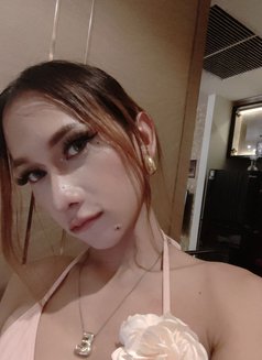 Isabelle - Transsexual escort in Pattaya Photo 3 of 14