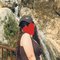 Ishika - escort in Gurgaon